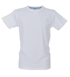 T-SHIRT CALIFORNIA 100%COTONE